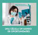 Slider image (7) MatrixCell